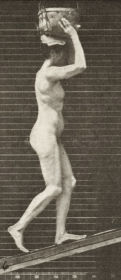 Plate 80 Ascending an incline with a 20 lb. basket on head — figure reference